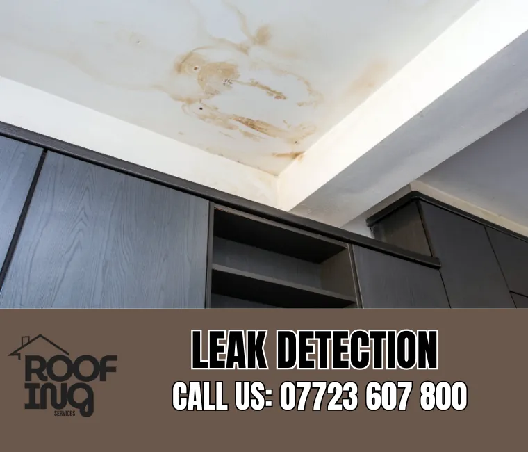 Roof Leak Detection in Exmouth