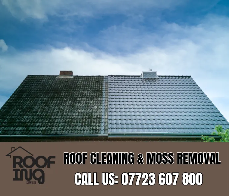 Roof Cleaning in Exmouth