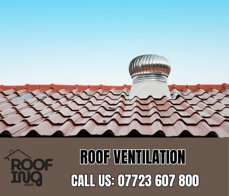 Roof ventilation solutions in Exmouth